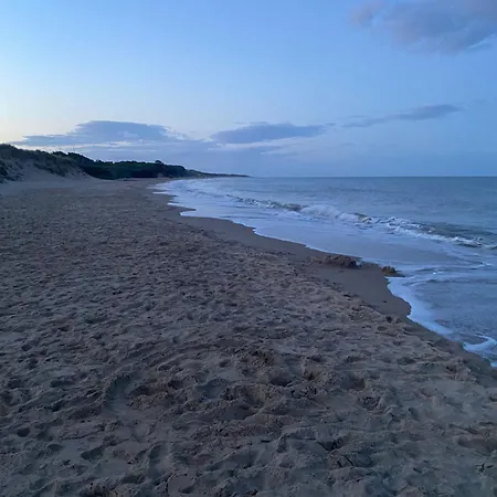 Tatil Evi The House *